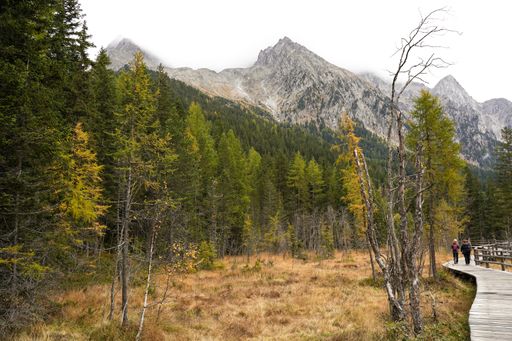 A wooden bridge in a forest with three individuals walking against Dolomite mountain in Italy