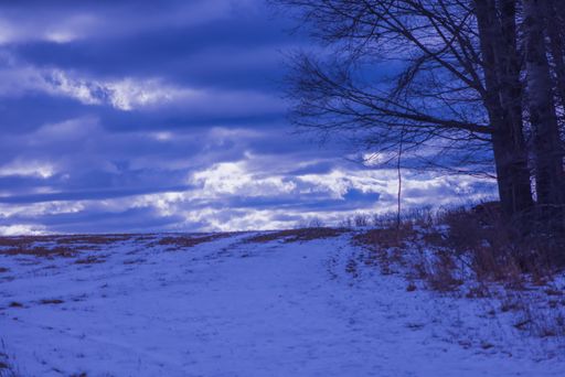 Snow-covered field with two trees against a backdrop of blue sky and clouds