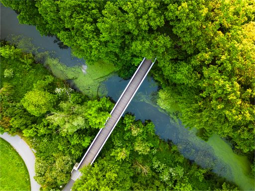 An aerial top view of a serene forest river with a beautiful bridge