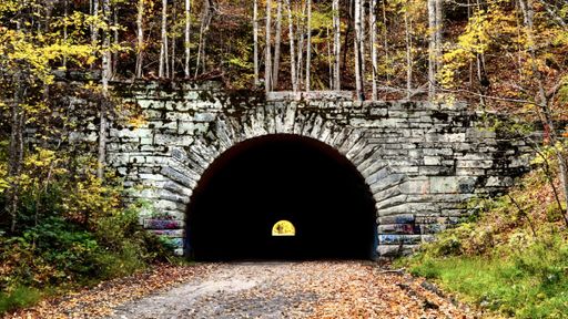 A tunnel with a mysterious dark opening leading into a lush forest of trees