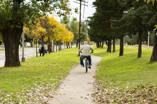 An old man riding a bicycle on the sidewalk near a park with a lot of green trees - healthy lifestyle concept