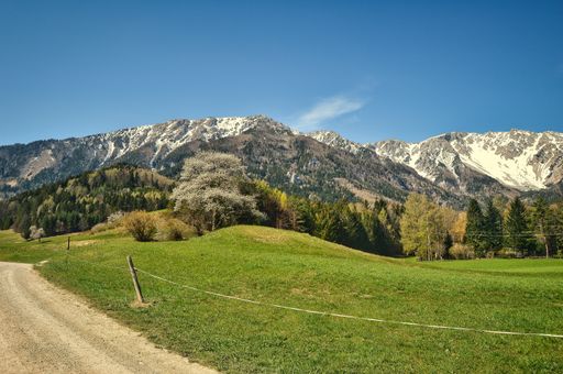 landscape in beautiful hiking paradise Schneeberg in spring. Snow mountain with snow covered peaks in the back, in front woodland+ green grass meadow