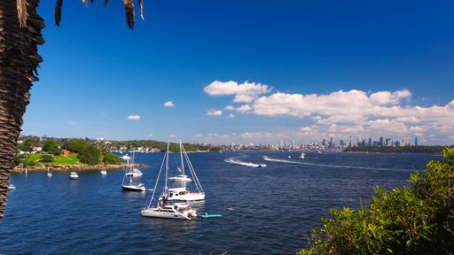 Camp Cove Beach, Watsons Bay, Australia - April 02 2021 : Boats and yachts moored near the beach as people enjoy the calm waters.
