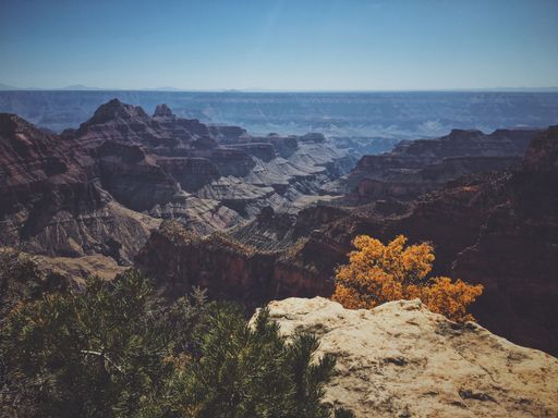 A beautiful shot of the grand canyon national park north rim on a sunny day