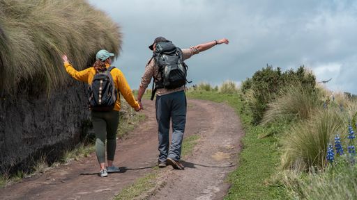 A couple strolling hand in hand along a scenic trail