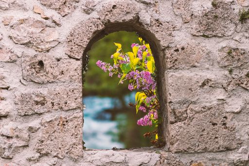 A beautiful shot of a blooming lilac seen through a stone arch window