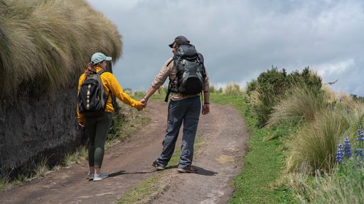 Two individuals walking hand in hand along a rustic pathway