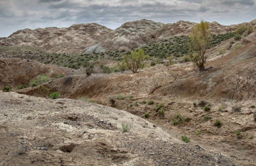 Clay-chalk hills of Kazakhstan with rare vegetation; Dense clouds in the sky.