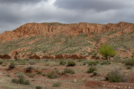 Clay-chalk hills of Kazakhstan with rare vegetation; Dense clouds in the sky.