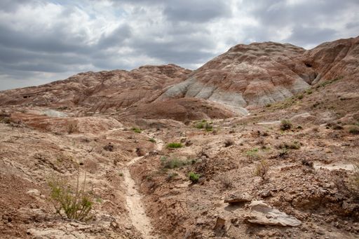 Clay-chalk hills of Kazakhstan with rare vegetation; Dense clouds in the sky.