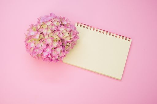A high angle shot of a bouquet of hydrangeas with a blank notepad isolated on a pink background with space for text
