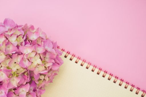 A top view of a bouquet of hydrangeas with a blank notepad isolated on a pink background with space for text