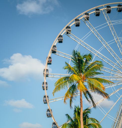 A low angle shot of the carousel behind the palm trees under the blue sky