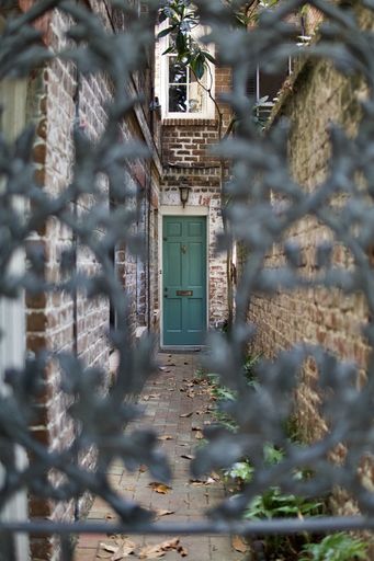 A vertical shot of an old green door visible behind a blurry metal gate