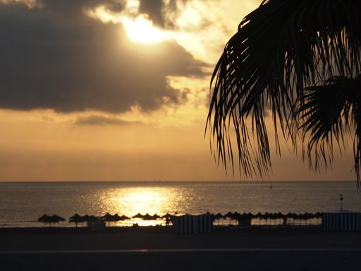 A golden sunset over the ocean with cloudy sky, beach umbrellas, and palm tree leaves
