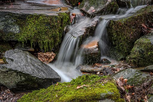 Close-up of stream flowing over forest rocks