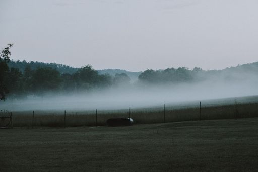 A beautiful shot of a foggy field at a ranch in the countryside