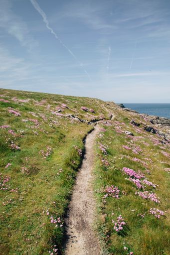 A scenic trail against the sea in Crantock, Cornwall, UK