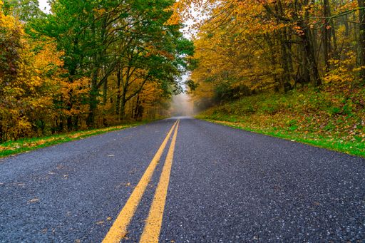 A scenic road surrounded by vibrant autumn foliage, leading towards a picturesque hill