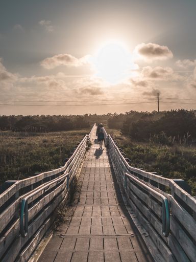 A beautiful vertical symmetric shot of a wooden bridge leading to the beach taken at golden hour