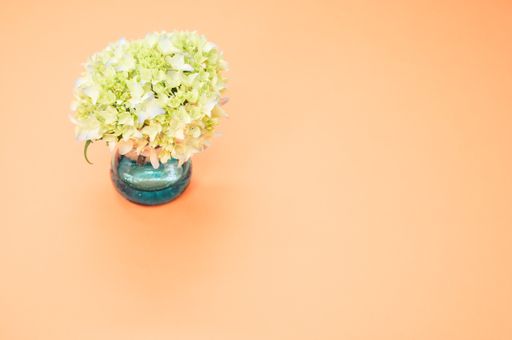 A high angle shot of french hydrangeas in a vase on a beige surface with space for text