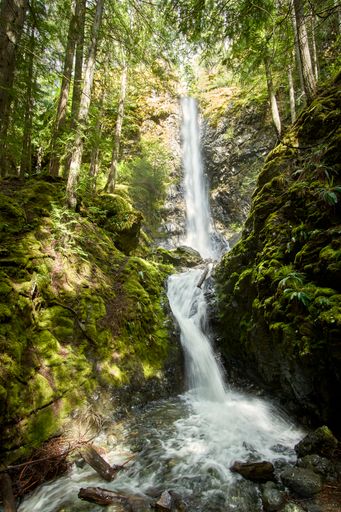 View of a majestic, tall waterfall cascading down the mountain side amongst the tall evergreen trees.