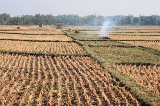 A beautiful view of harvesting in a field against a clear sky