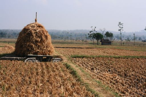 A beautiful view of harvesting in a field against a clear sky