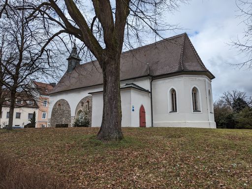 A White house with brown roof by a tree with fallen leaves on the ground: Linz, Austria