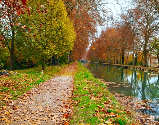 Autumn park pathway with vibrant trees and fallen leaves