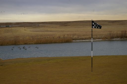 A flag on a golf course in winter, Denver