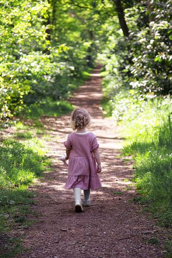 A back view of a cute little caucasian girl walking along the narrow pathway through the sunny forest