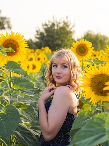 A cute curvy lady surrounded by bright sunflowers is looking away