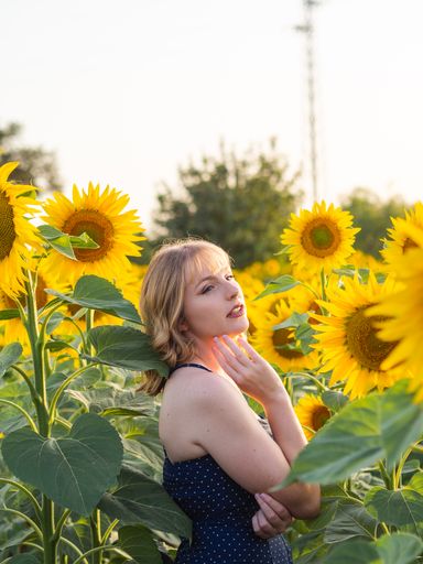 A beautiful Spanish blonde standing in the beautiful field of sunflowers