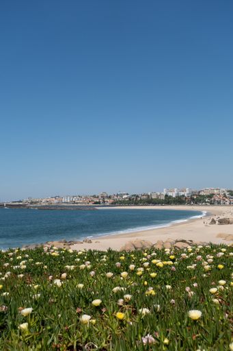 A vertical shot of a beach in Portugal, Europe