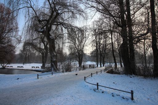 A footpath surrounded by wooden fences and trees covered in the snow in a forest under the sunlight