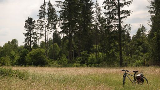 A bicycle surrounded by the grass and trees in a field under a cloudy sky