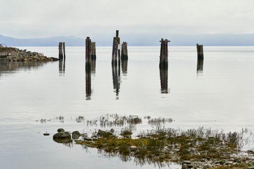 View of old piles that were once part of a wharf on a very calm serene ocean at dusk with weeds and rocks in the foreground.