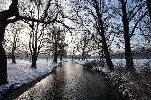 A river surrounded by trees covered in the snow under the sunlight at daytime