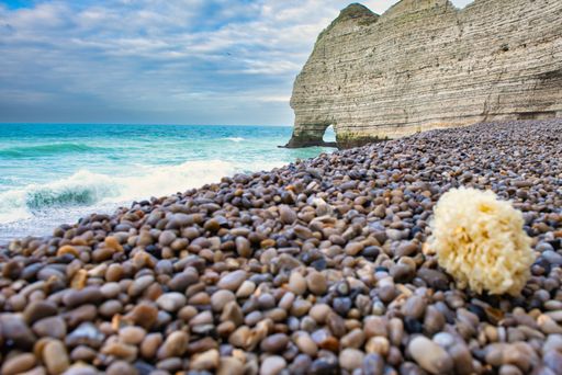 The Chalk cliffs at Etretat along France's Alabaster Coast