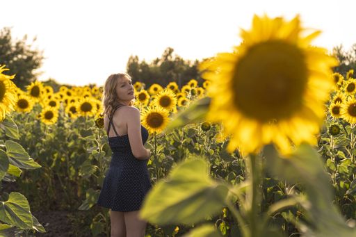 A beautiful view of a girl posing next to sunflowers growing in the field on a summer day