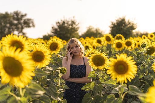 A beautiful view of a girl posing next to sunflowers growing in the field on a summer day