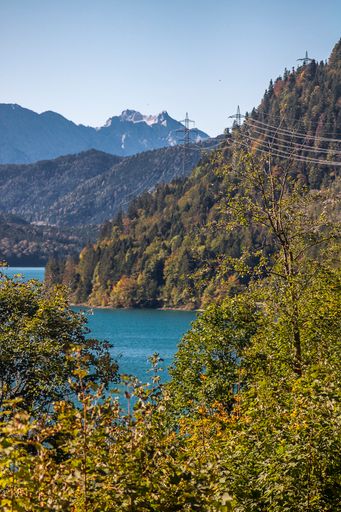 A vertical shot of a blue tranquil lake surrounded by high forest mountains under a clear blue sky
