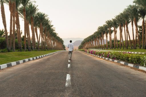 A person walking on the road with palm trees on the sides with a beautiful scenery of sunset