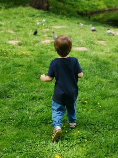 A vertical back view of a male child walking on a meadow
