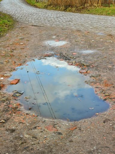 A vertical shot of a puddle in dirt