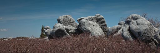 A wide angle shot of Bear rocks surrounded by dried shrubs at Dolly Sods Wilderness Area in West Virginia