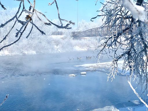 A serene blue stream flows through snow-covered trees