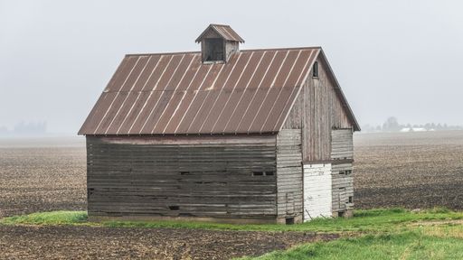 Isolated old shed in a dry grass field