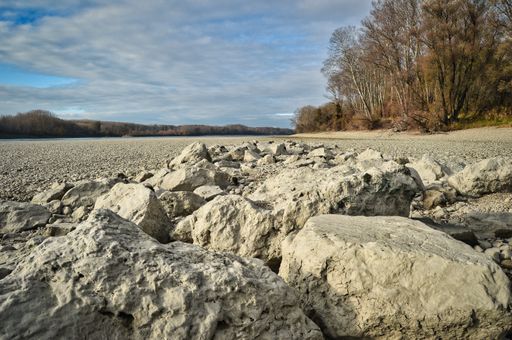 landscape photo of austrian Donau river beach - wild nature reserve area with water side, stones, rocks, trees, clouds and blue sky
